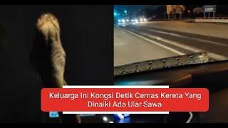 Keluarga Ini Kongsi Detik Cemas Kereta Yang Dinaiki Ada Ular Sawa