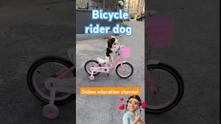 #dog riding bicycle#shorts#viralvideo #trending#short#youtubeshorts#instagram