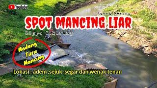 SPOT MANCING LIAR  Lippo Cikarang