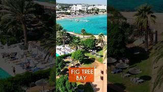 Paradise Awaits Fig Tree Bay in Cyprus