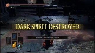 Dark Souls Invader TKO - Caestus OP