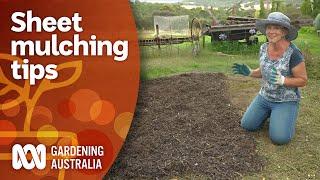 How to get started using sheet mulching to kill weeds  Gardening 101  Gardening Australia