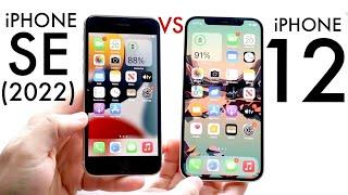 iPhone 12 Vs iPhone SE 2022 In 2024 Comparison Review