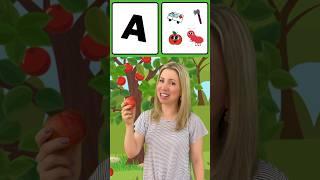 Letter A  Learn the alphabet starting with the Letter A