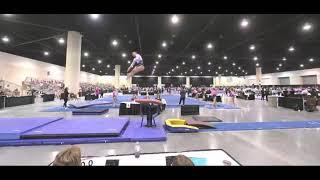 McKenzie Matters 9.825 Vault Development Program National Championships