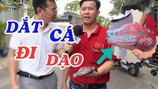 Chuyện khó tin người đàn ông dắt cá đi dạo - ĐỘC LẠ BÌNH DƯƠNG