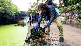 We Hit the Jackpot Magnet Fishing in London This Canal is INSANE