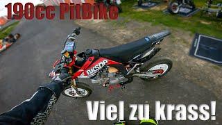 YCF190 Racing PitBike  Erster Eindruck  Viel zu krass für mich