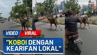 Sapi Kabur ke Jalan Dikejar Bapak-bapak Pakai Motor dan Tali Warganet Koboi Dengan Kearifan Lokal