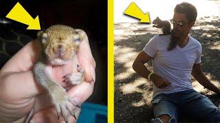 This Squirrel Keeps Coming Back To Visit The Family That Saved Her 8 Years Ago