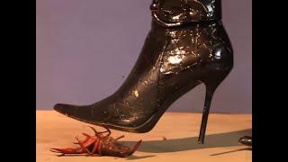 N92 Bug Crush Teaser - Classic stiletto boots and Crayfish