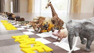 Ultimate Animal Race in My House  Epic Showdown of 50+ Animals Adventure