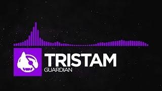 Dubstep - Tristam - Guardian Smashing Newbs EP