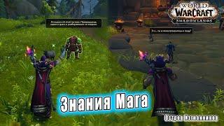 World of Warcraft Shadowlands - Остров изгнанников Знания мага Орда\Альянс