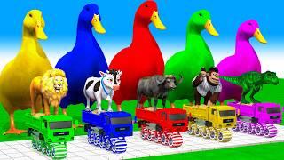 5 Giant Duck Cartoon Cow Mammoth Elephant Lion Paint Wild Animals Crossing Fountain Animation