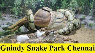 Guindy Snake Park in Chennai  Guindy National Park Chennai Tour