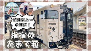 【指宿のたまて箱】まるで竜宮城JR九州の観光列車【鹿児島中央-指宿】