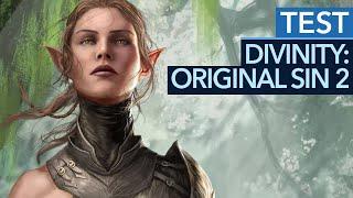 Divinity Original Sin 2 - Test  Review Ein MUSS für Rollenspiel-Fans Gameplay
