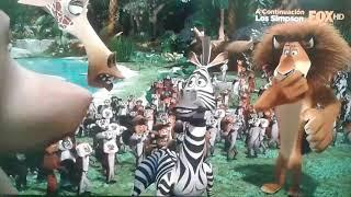 Madagascar en Fox HD