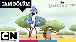 SÜREKLİ DİZİ  Mordecai ve Rigby Avusturalyada  TAM BÖLÜM  @cartoonnetworkturkiye