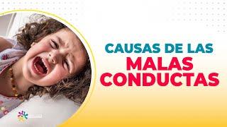CAUSAS MÁS COMUNES DE LA MALA CONDUCTA INFANTIL
