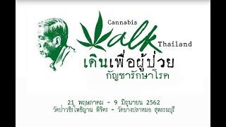 music for cannabis walk Thailand