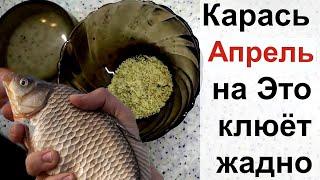 В Апреле вся рыба клюёт на Это Супер рыболовная насадка для карася весной