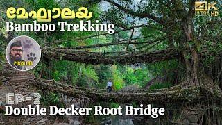 Living Root Bridges and Bamboo trekking  Beauty of Meghalaya  Boating in Dawki River