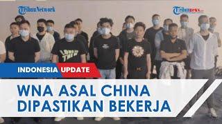 Ratusan WNA China Masuk ke Indonesia Lewat Bandara Soetta Dirjen Imigrasi Pastikan untuk Bekerja