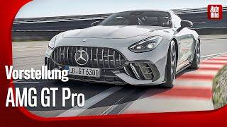 Mercedes-AMG GT Pro  Vorstellung mit Sebastian Friemel