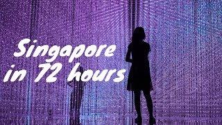 3 Days in Singapore