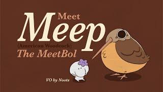 Meet the MeetBolz  Meep the American Woodcock