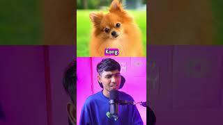 Guess The Youtuber By Their Pet 