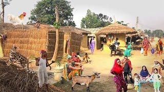 Village Life Of The Poor People In India U.P.  Peaceful & Super Chill Lifestyle In Indian Village