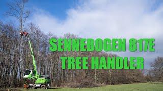 Sennebogen 817E Tree Handler