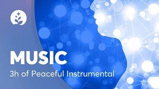 3 Hours of Peaceful & Relaxing Instrumental Music   Spa Music  Long Playlist  BetterSleep