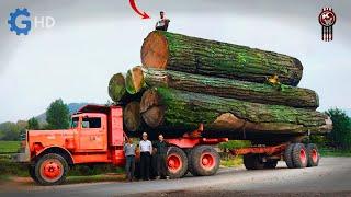 The Era of Kenworth as Kings of the Forest ▶ Kenworth 848 849 850 History