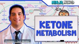 Metabolism  Ketone Metabolism