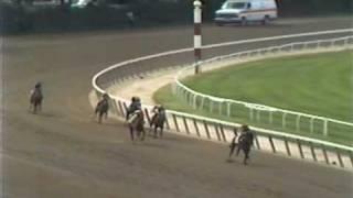 Risen Star - 1988 Belmont Stakes Dave Johnsons ABC-TV Call