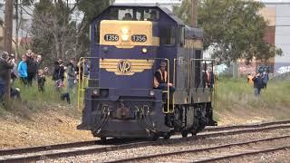 The Victorian Railways T Class Diesel Locomotive - Hood Locomotives