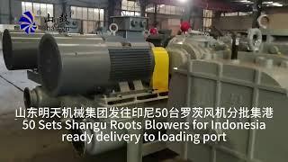 Shangu Roots Blowers for Indonesia gathering to loading with partial shipment