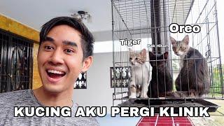 KUCING AKU SAKIT  BAWA PERGI KLINIK 