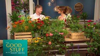 How to Create a Pollinator Garden for Bees  The Good Stuff with Mary Berg