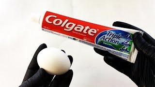 EGG in TOOTHPASTE For 100 Days - EXPERIMENT