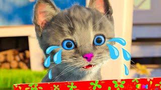 NEW LITTLE KITTEN ADVENTURE - FUN PLAYFUL CAT AND PET CARE - LITTLE KITTEN 2 GAME