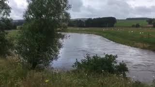 The River Rede in Spate - August 2019