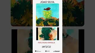 JOÂO SELVA new single  PASSARINHO produced by Patchworks release 0912