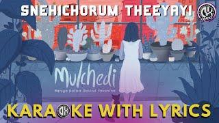 Mulchedi Karaoke with Lyrics HD  Snehichorum Theeyayi Poi Ft.Haniya Nafisa  Govind Vasantha