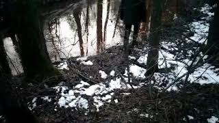 Walking in river in bekina boots