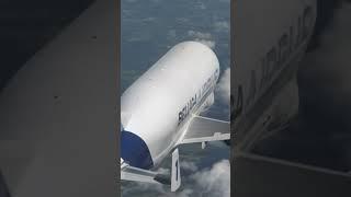 Airbus Beluga Edit  #airbusbeluga #shorts